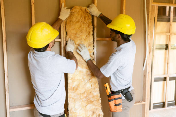 Best Blown-In Insulation  in Inman, SC